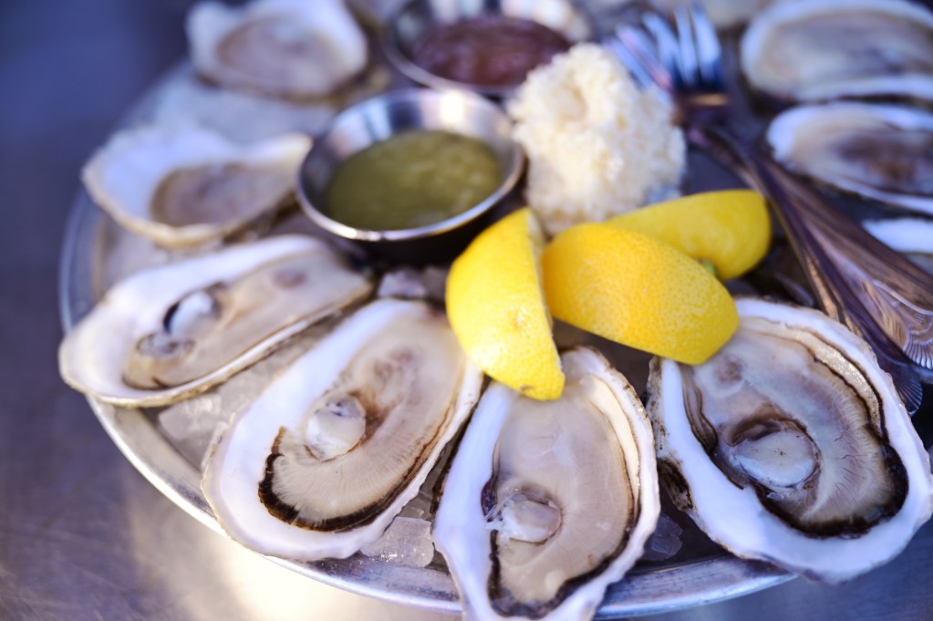salmonella-outbreak-linked-to-raw-oysters-affects-colorado-residents