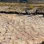 scientists-uncover-world-s-largest-dinosaur-track-site-in-bolivia