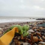 shipwrecked-containers-of-bananas-wash-ashore-in-west-sussex