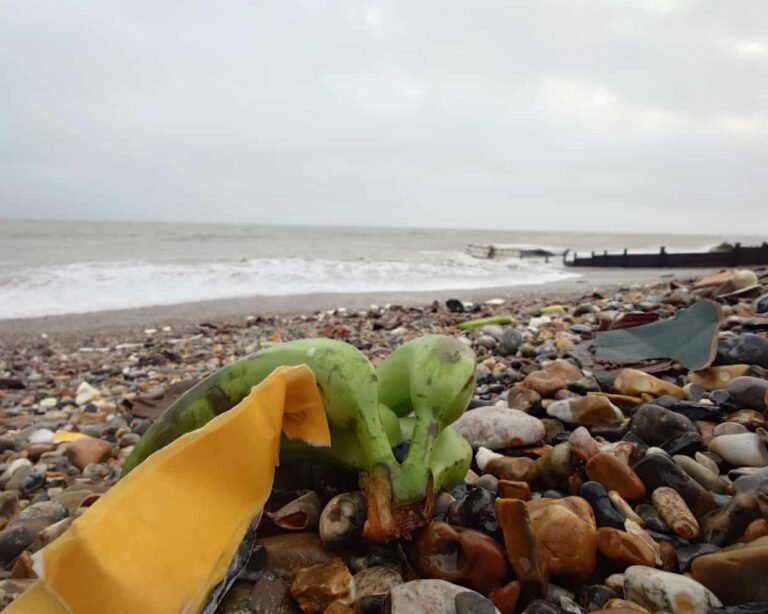 shipwrecked-containers-of-bananas-wash-ashore-in-west-sussex