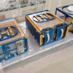 space-mice-return-to-earth-pioneering-reproduction-in-orbit