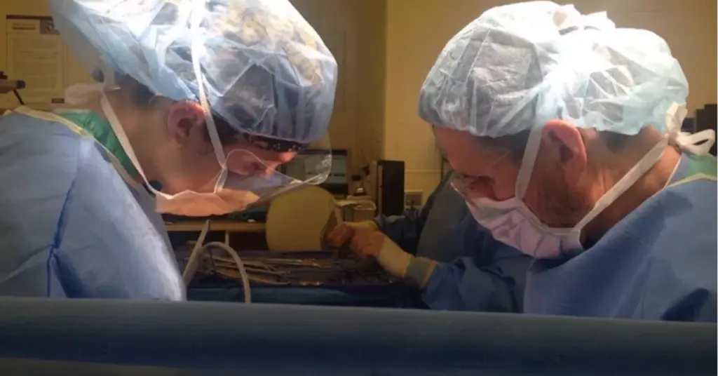 surgeon-reflects-on-society-s-judgment-of-child-free-women