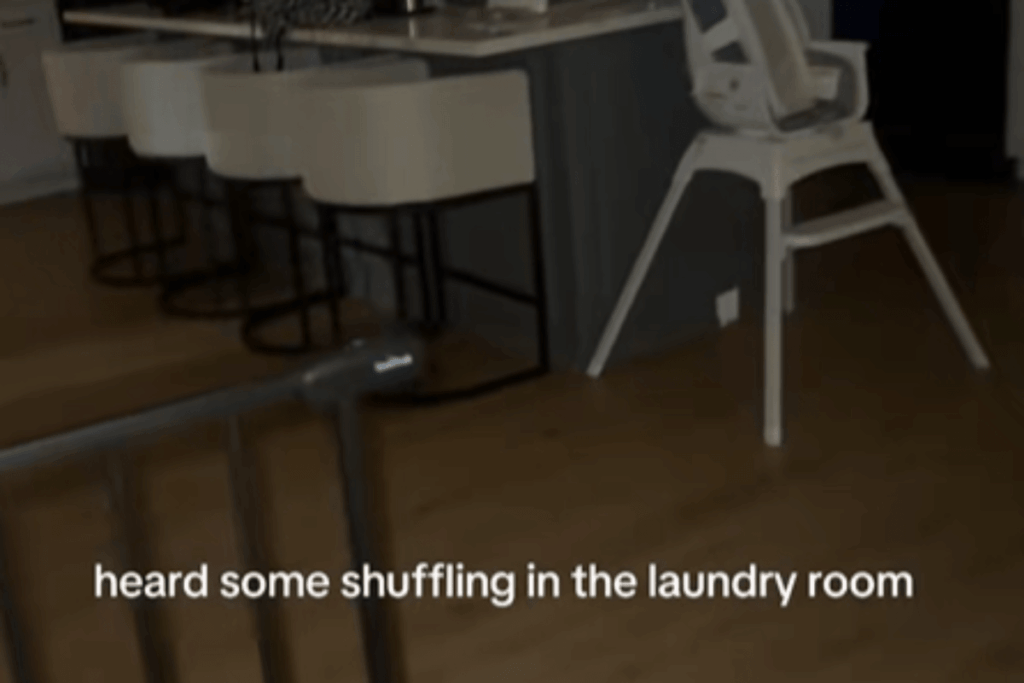 texas-toddler-stuns-mom-after-late-night-laundry-room-escape