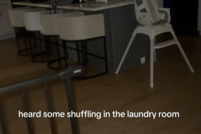 texas-toddler-stuns-mom-after-late-night-laundry-room-escape