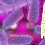 third-rabies-case-emerges-in-houston-county-alabama