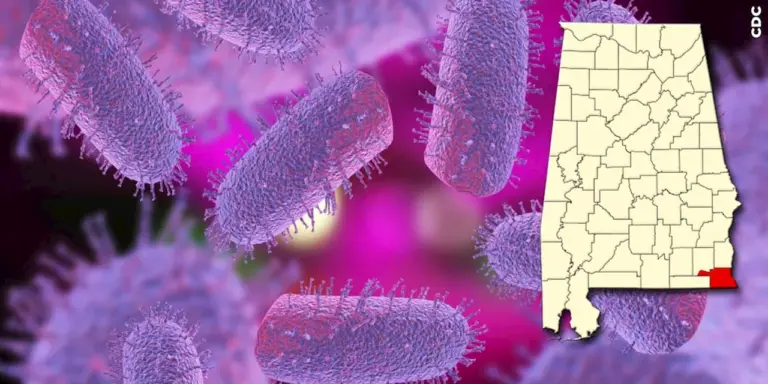 third-rabies-case-emerges-in-houston-county-alabama