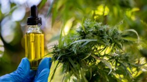 trump-boosts-hemp-industry-with-marijuana-rescheduling-order