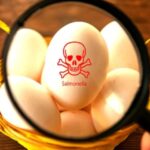 uk-salmonella-strain-linked-to-outbreaks-in-south-korea