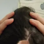 unraveling-the-impact-of-childhood-trauma-on-adult-health