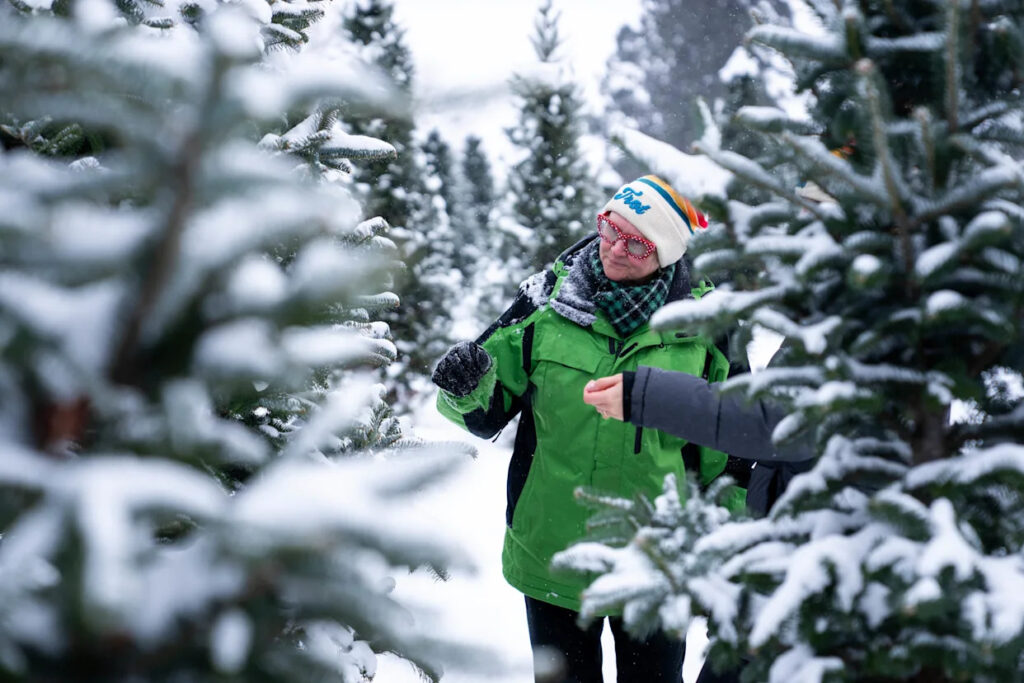 urgent-check-your-iowa-snowfall-totals-now-see-your-area-s-impact