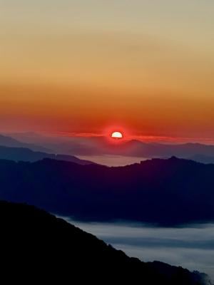 urgent-holiday-events-and-donations-kick-off-this-week-in-greenville