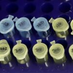 urgent-update-dna-test-exonerates-man-after-40-years-in-prison