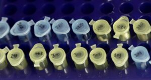 urgent-update-dna-test-exonerates-man-after-40-years-in-prison