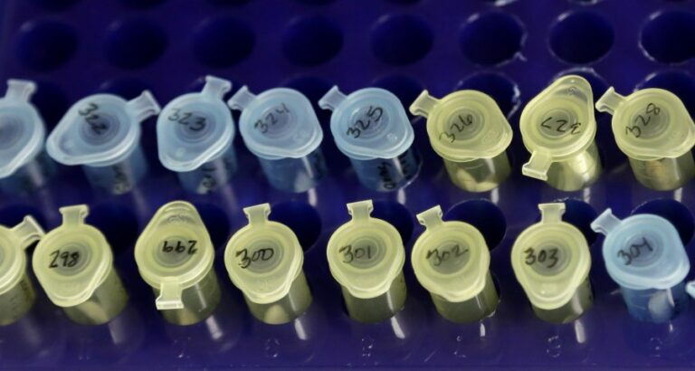 urgent-update-dna-test-exonerates-man-after-40-years-in-prison