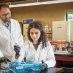 uwm-research-uncovers-horseshoe-crab-fossil-s-role-in-animal-microbial-death