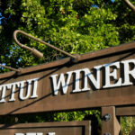 v-sattui-winery-celebrates-50-years-of-harvest-magic-now