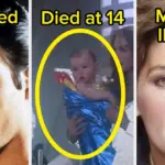 viral-mini-apartment-video-and-walmart-mystery-capture-attention