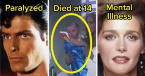 viral-mini-apartment-video-and-walmart-mystery-capture-attention