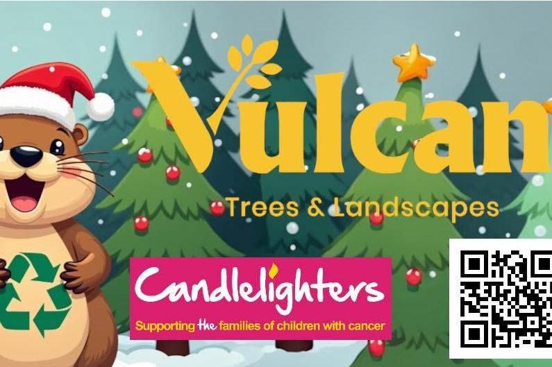 yorkshire-firm-launches-christmas-tree-collection-for-children-s-cancer-charity