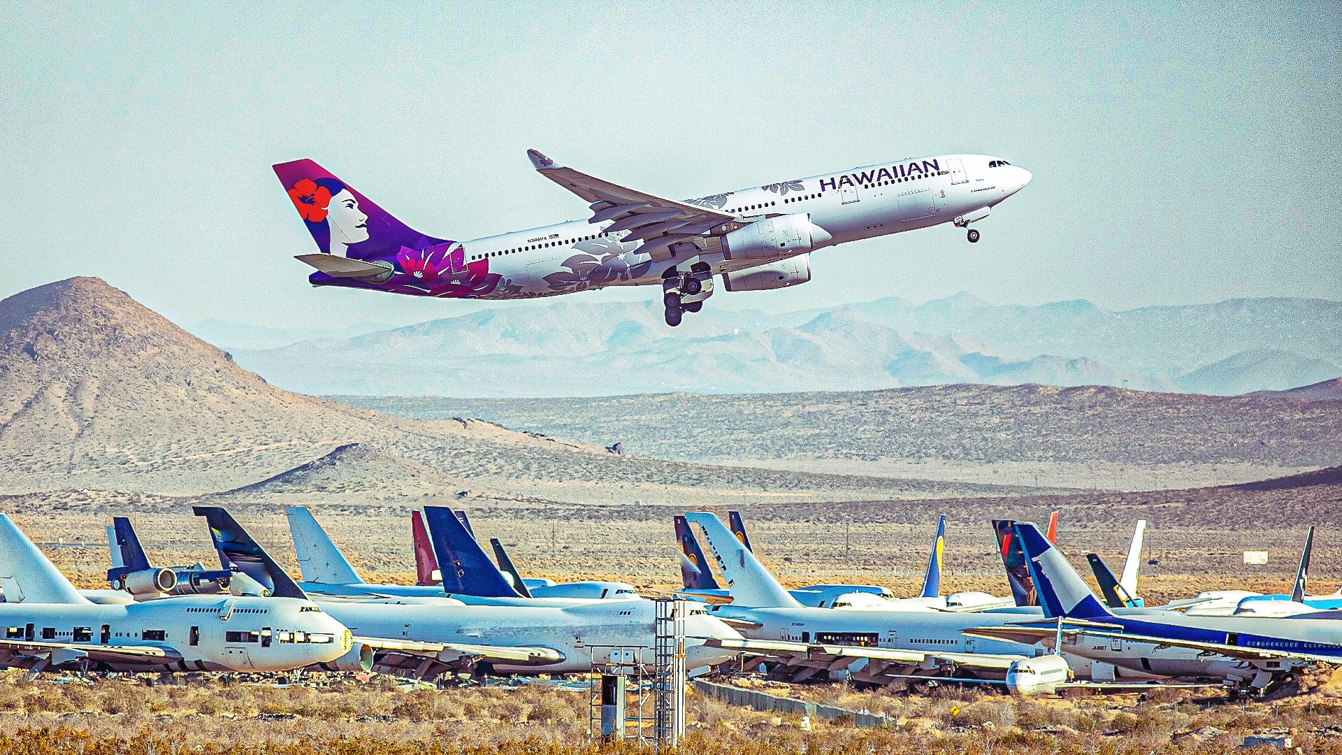 alaska-airlines-and-hawaiian-airlines-what-s-next-for-a330s-