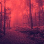 biophobia-surges-new-study-reveals-alarming-nature-anxiety