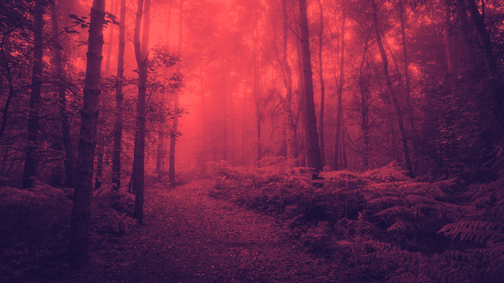 biophobia-surges-new-study-reveals-alarming-nature-anxiety