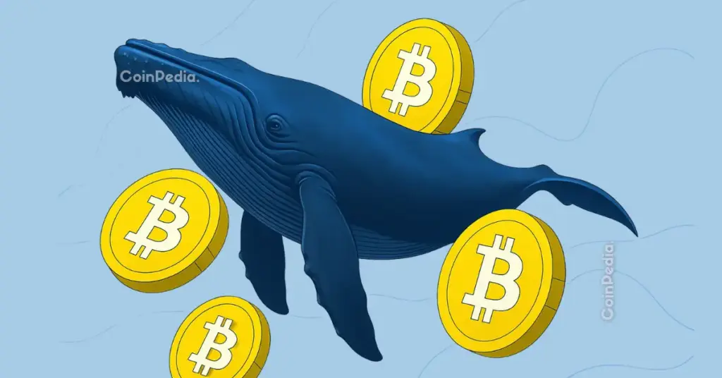 bitcoin-whale-transfers-85-million-after-13-years-of-dormancy