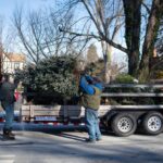 boy-scouts-urgently-offer-curbside-christmas-tree-pickup-jan-10