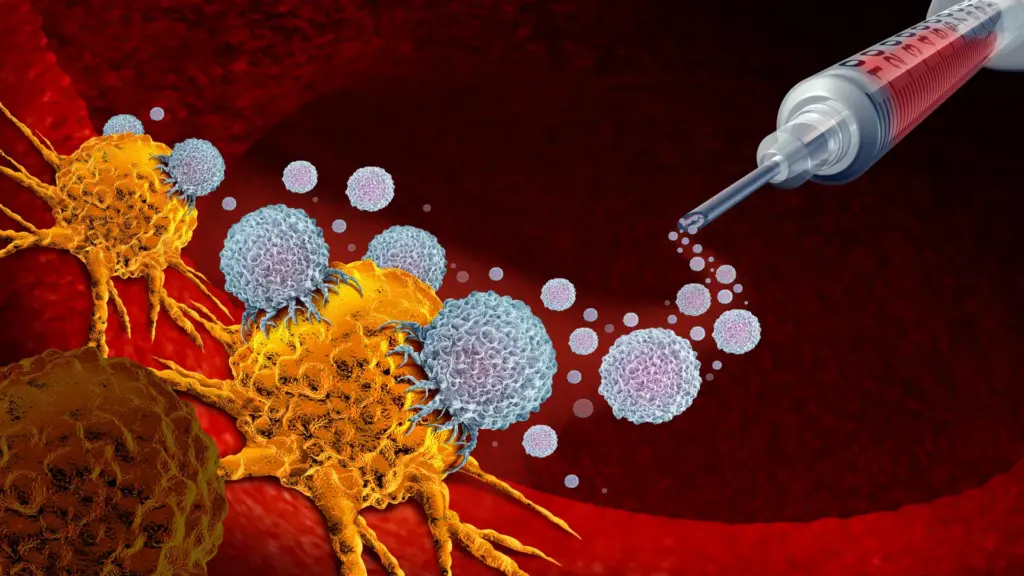 breakthrough-study-reveals-lasting-impact-of-20-year-old-cancer-vaccine