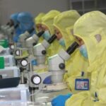 china-s-biopharma-sector-thrives-with-136-billion-licensing-surge