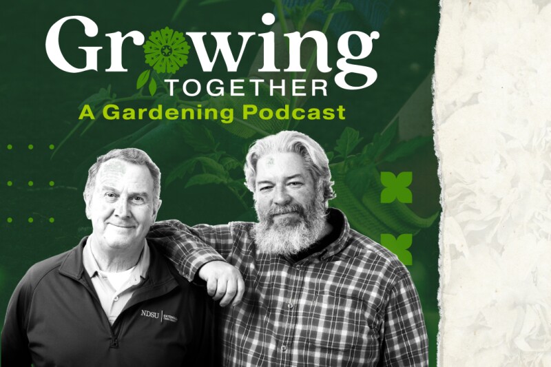 exploring-the-rich-history-and-future-of-seed-catalogs