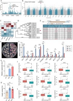 genetic-insights-propel-pear-breeding-forward-with-new-study