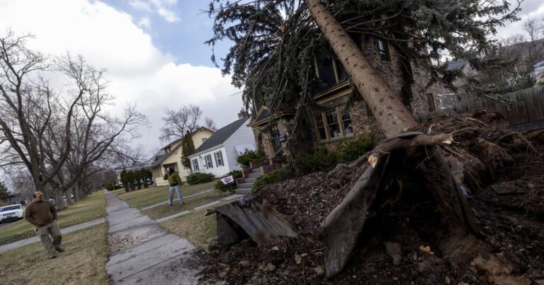 gov-gianforte-seeks-6-5-million-in-disaster-relief-from-trump