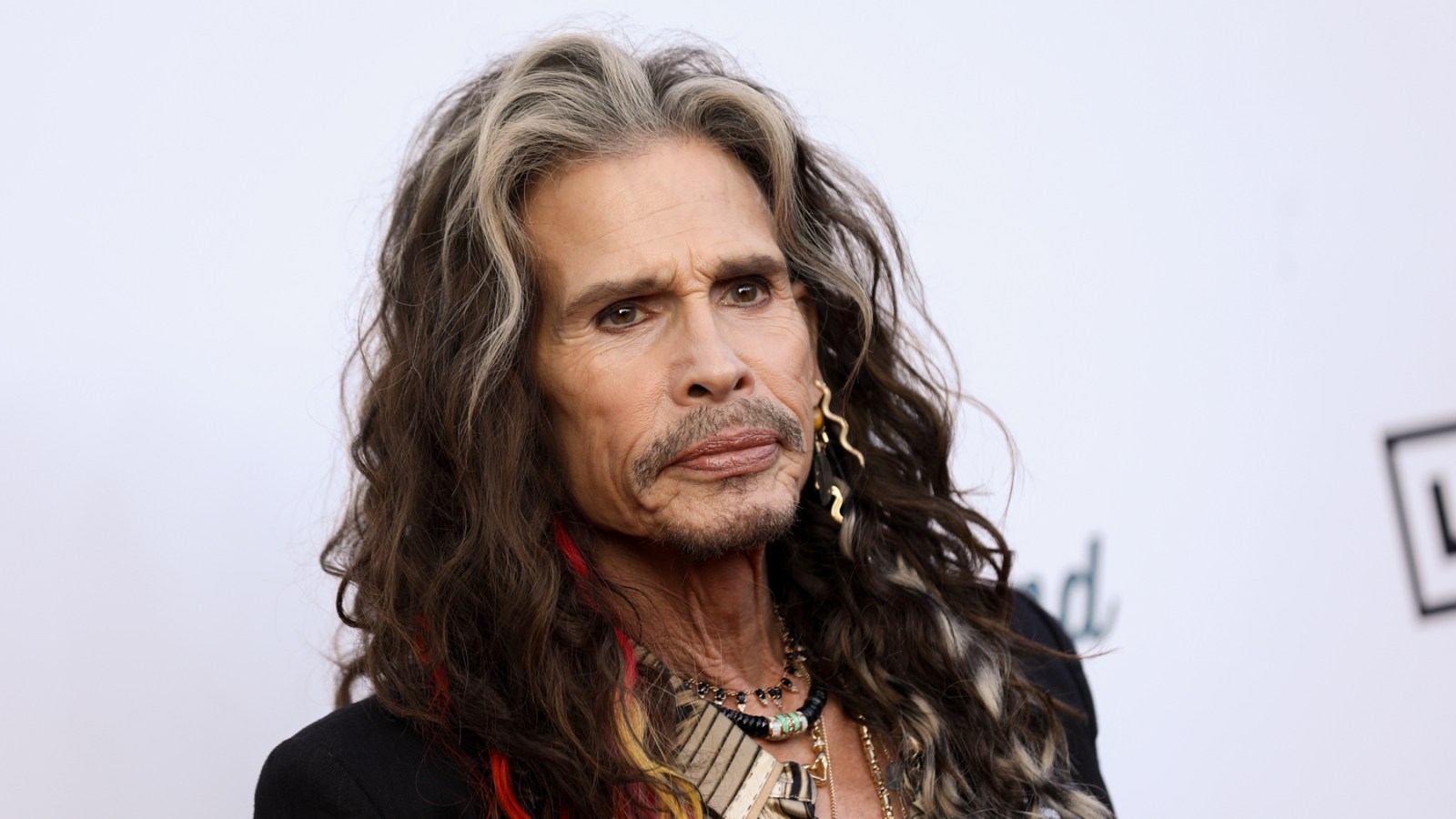 judge-rules-julia-misley-s-claims-against-steven-tyler-can-proceed