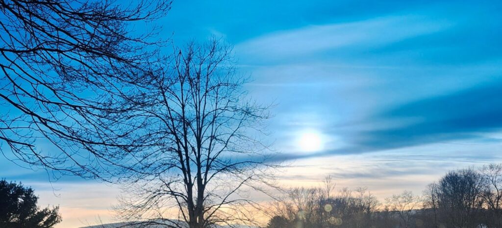 local-photographer-captures-winter-wildlife-in-stunning-images