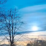 local-photographer-captures-winter-wildlife-in-stunning-images