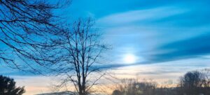 local-photographer-captures-winter-wildlife-in-stunning-images