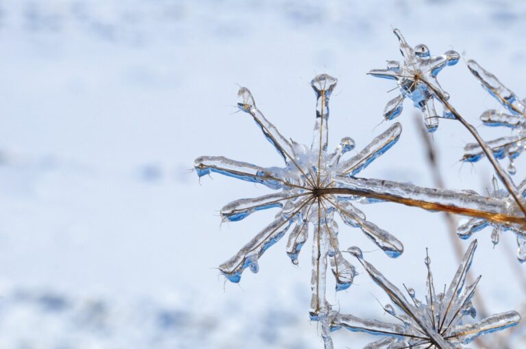 lorain-citywide-snow-parking-ban-issued-immediate-action-required