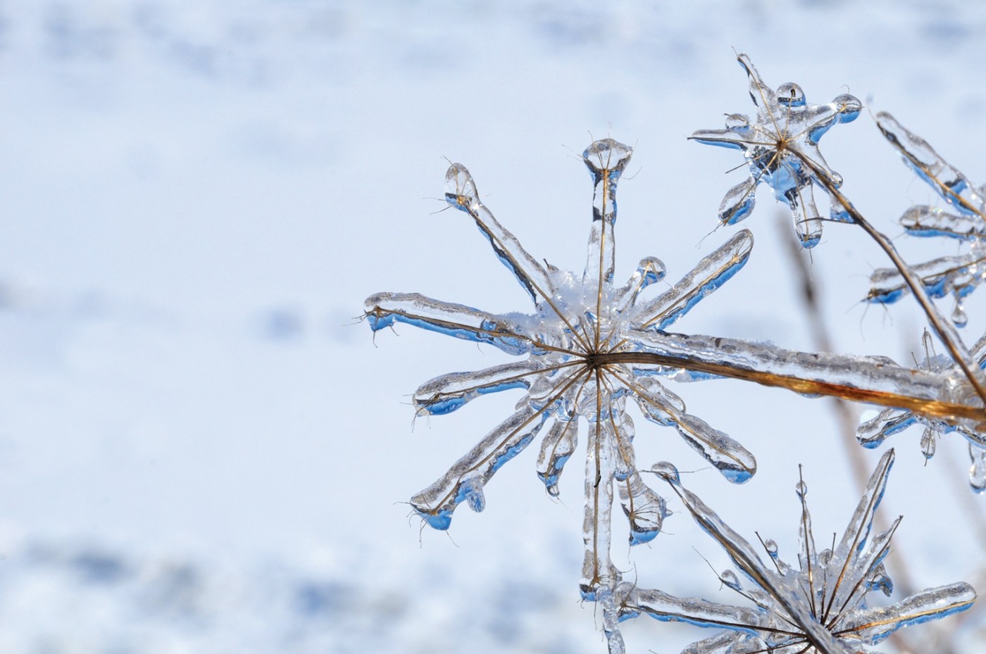 lorain-citywide-snow-parking-ban-issued-immediate-action-required