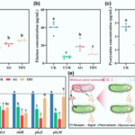 natural-plant-extracts-disrupt-pathogen-communication-in-soils