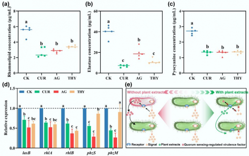 natural-plant-extracts-disrupt-pathogen-communication-in-soils