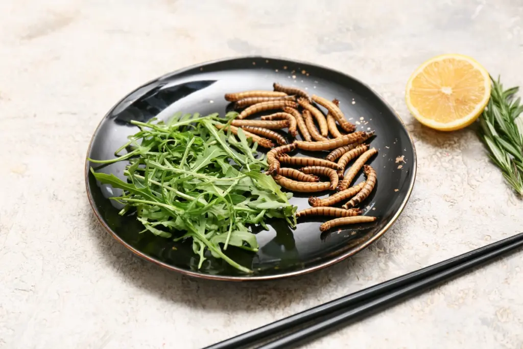 neanderthals-consumed-maggots-study-reveals-surprising-diet