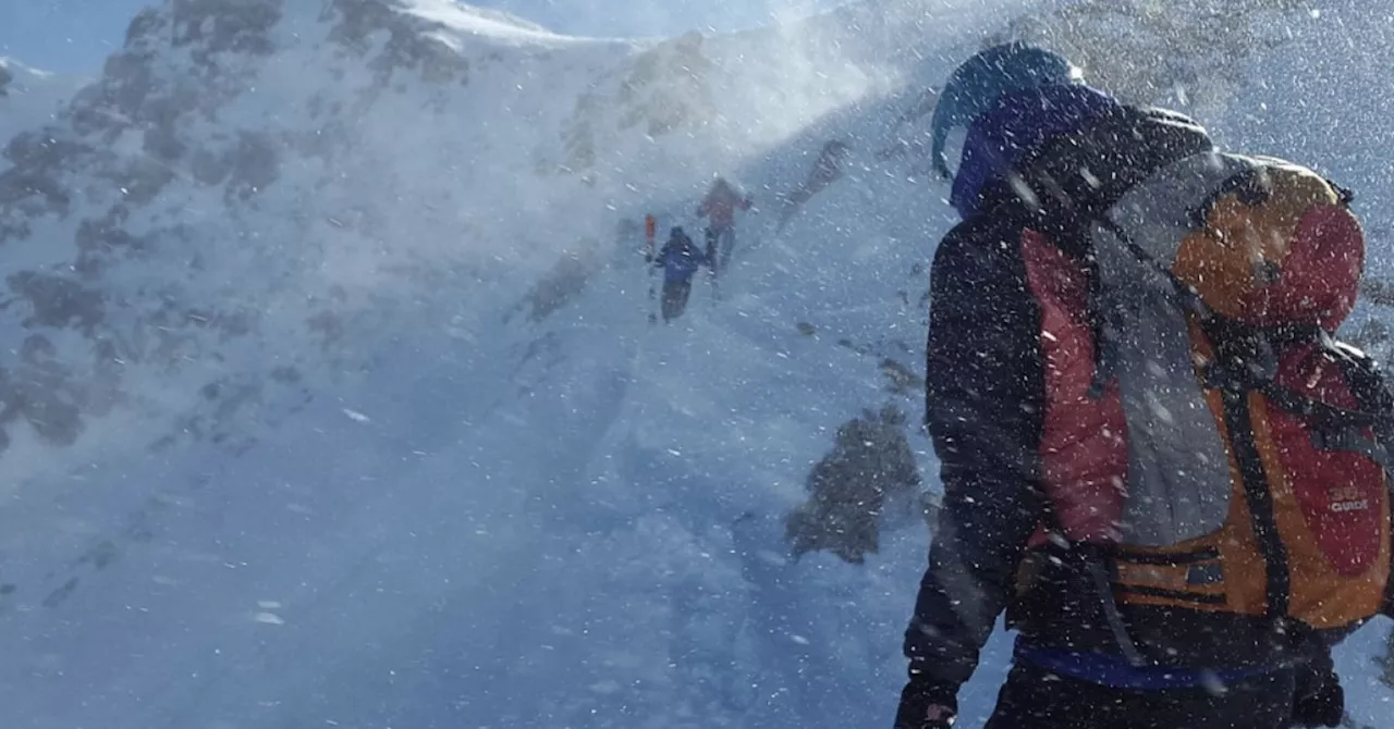 research-uncovers-four-key-factors-driving-learning-motivation