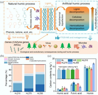 researchers-uncover-humic-substances-role-in-soil-health-and-resistance