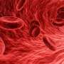 study-links-changes-in-red-blood-cells-to-diabetes-vascular-risks
