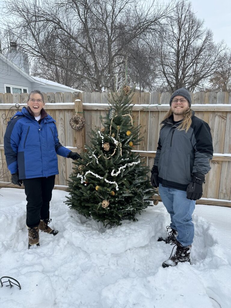 transform-your-christmas-tree-into-a-winter-bird-feeder
