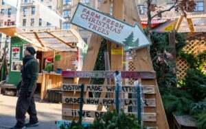 u-s-economy-grows-4-3-amid-tariff-concerns-and-consumer-trends