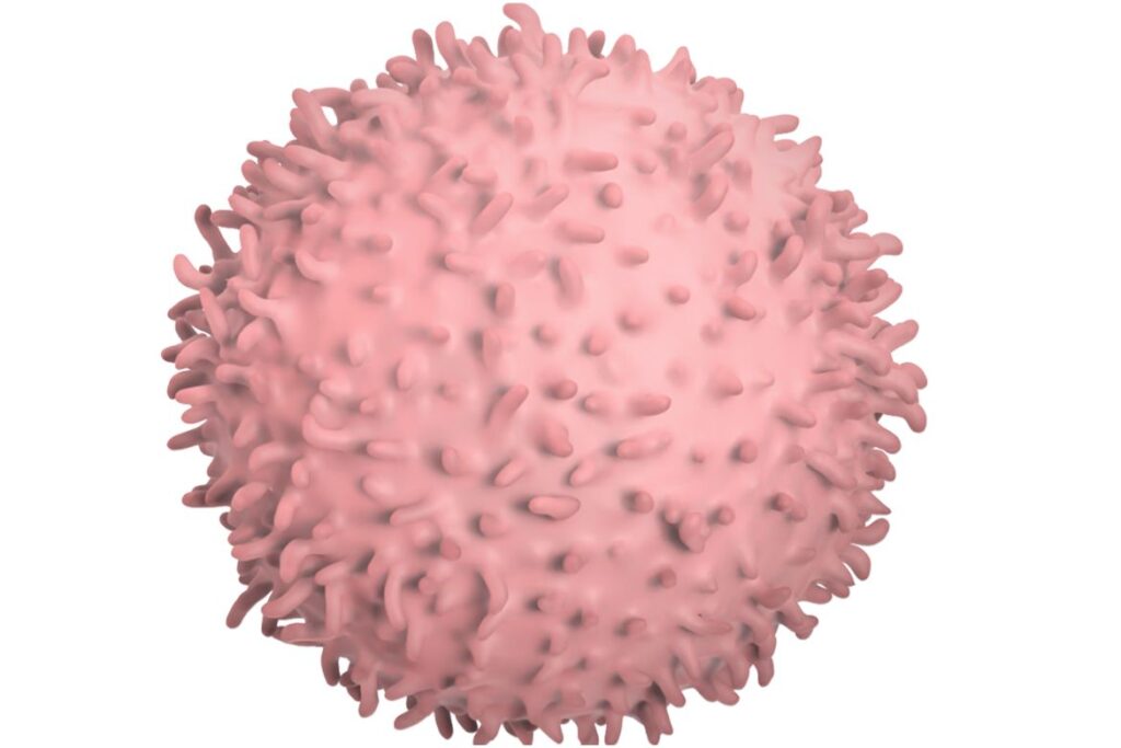 ucla-study-reveals-covid-19-fragments-attack-immune-cells