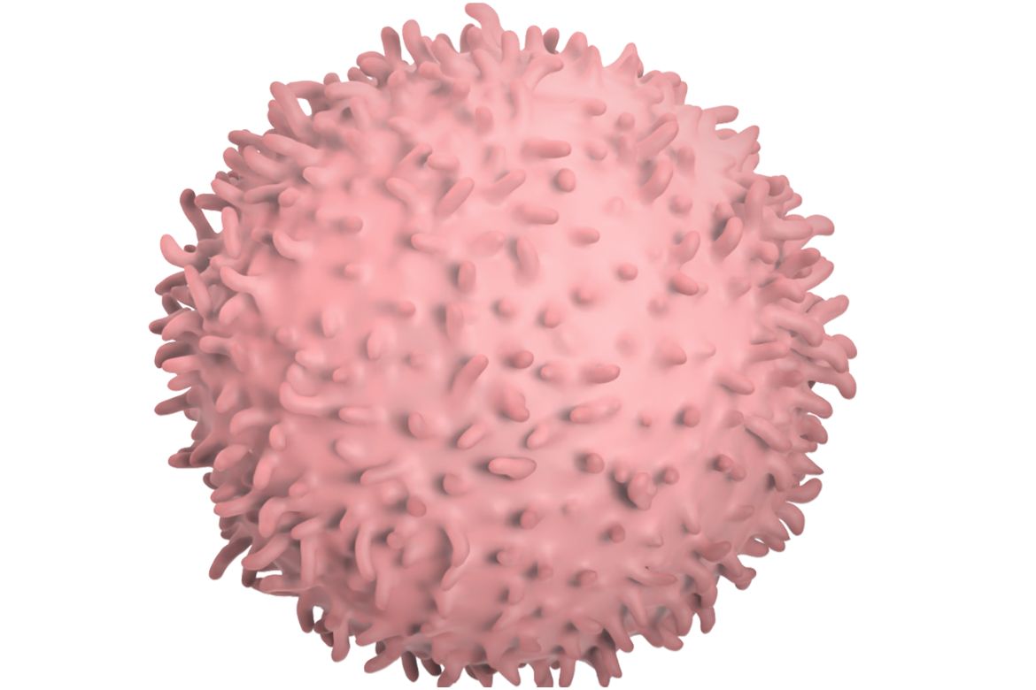 ucla-study-reveals-covid-19-fragments-attack-immune-cells