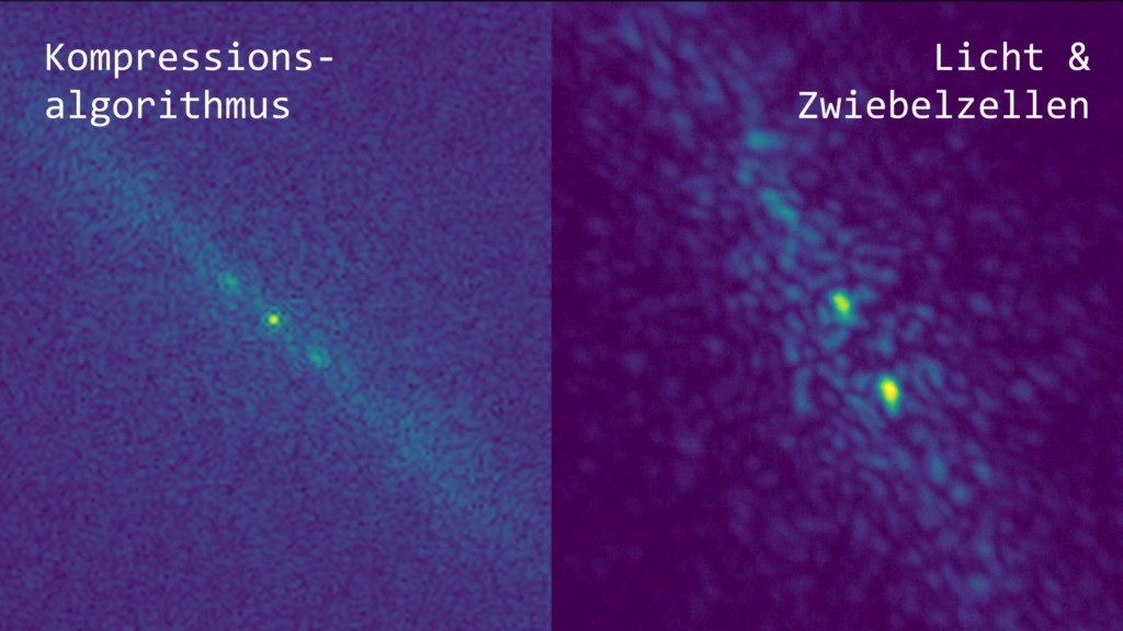 understanding-how-diffraction-gratings-produce-fourier-transforms